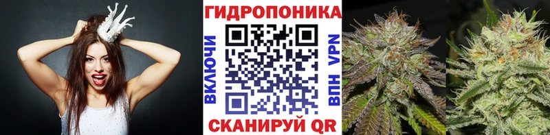 Бошки Шишки семена  как найти наркотики  Новомосковск 